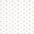 Schumacher Margie Floral Rose Wallpaper - Eade's Wallpaper