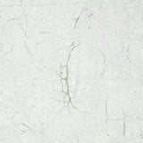 Schumacher The Cloisters Panel Set Soft Green Wallpaper - Eade's Wallpaper