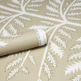 Schumacher Thistle Neutral Wallpaper - Eade's Wallpaper