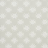 Schumacher Watermark Powder Grey Wallpaper