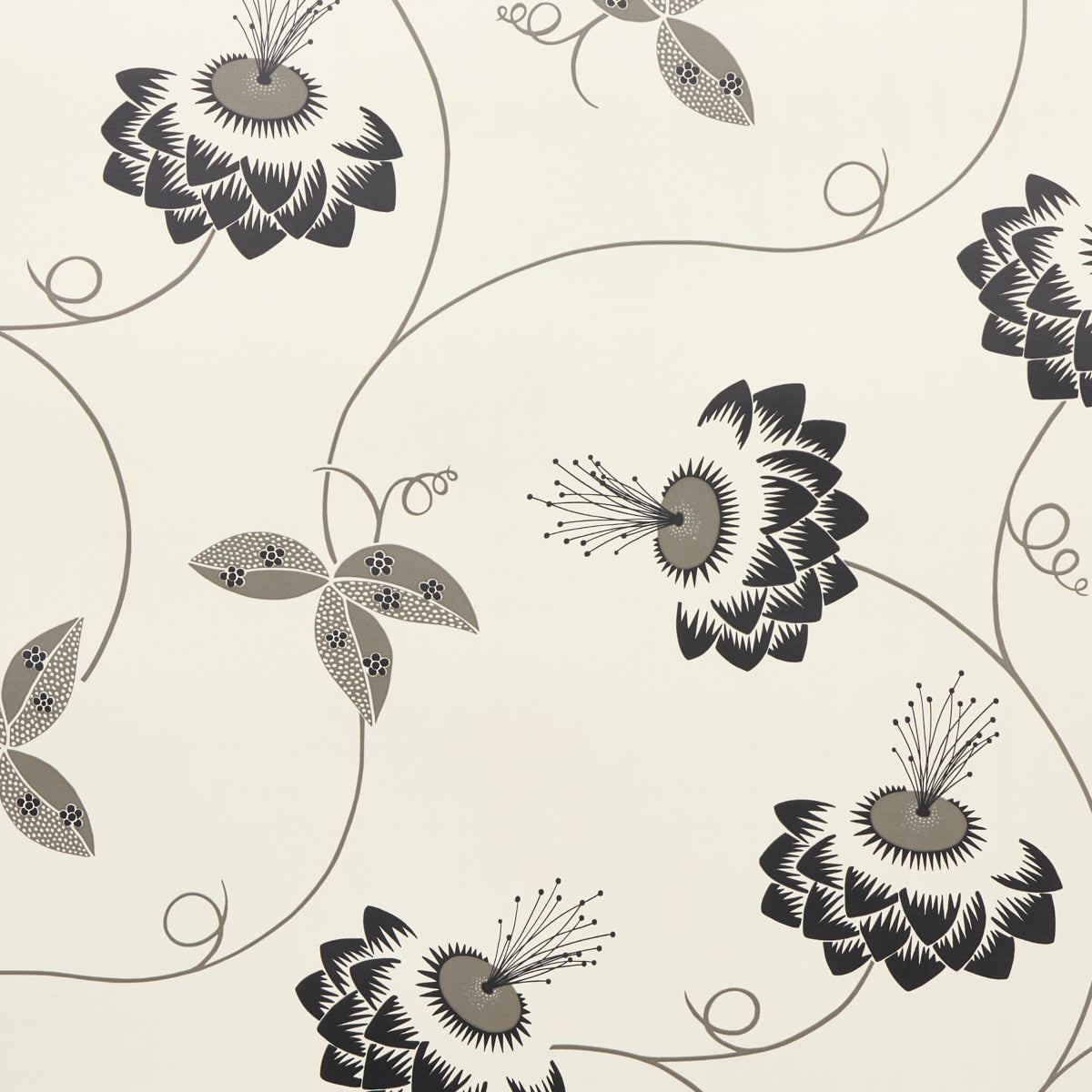 Schumacher Merlin Black & Cream Wallpaper - Eade's Wallpaper