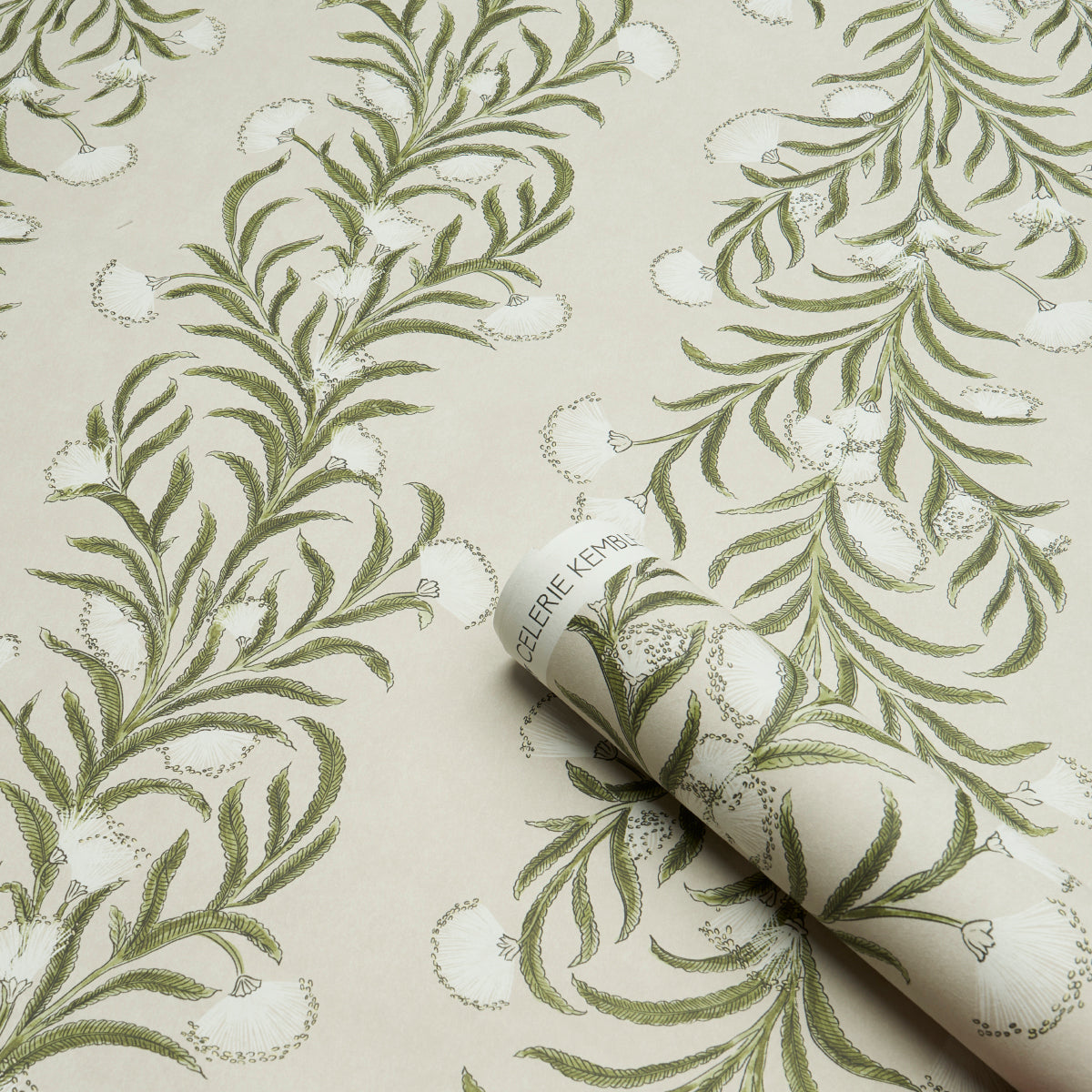 Schumacher 5015362 TASMANIAN MIMOSA in IVORY & GREEN Wallpap