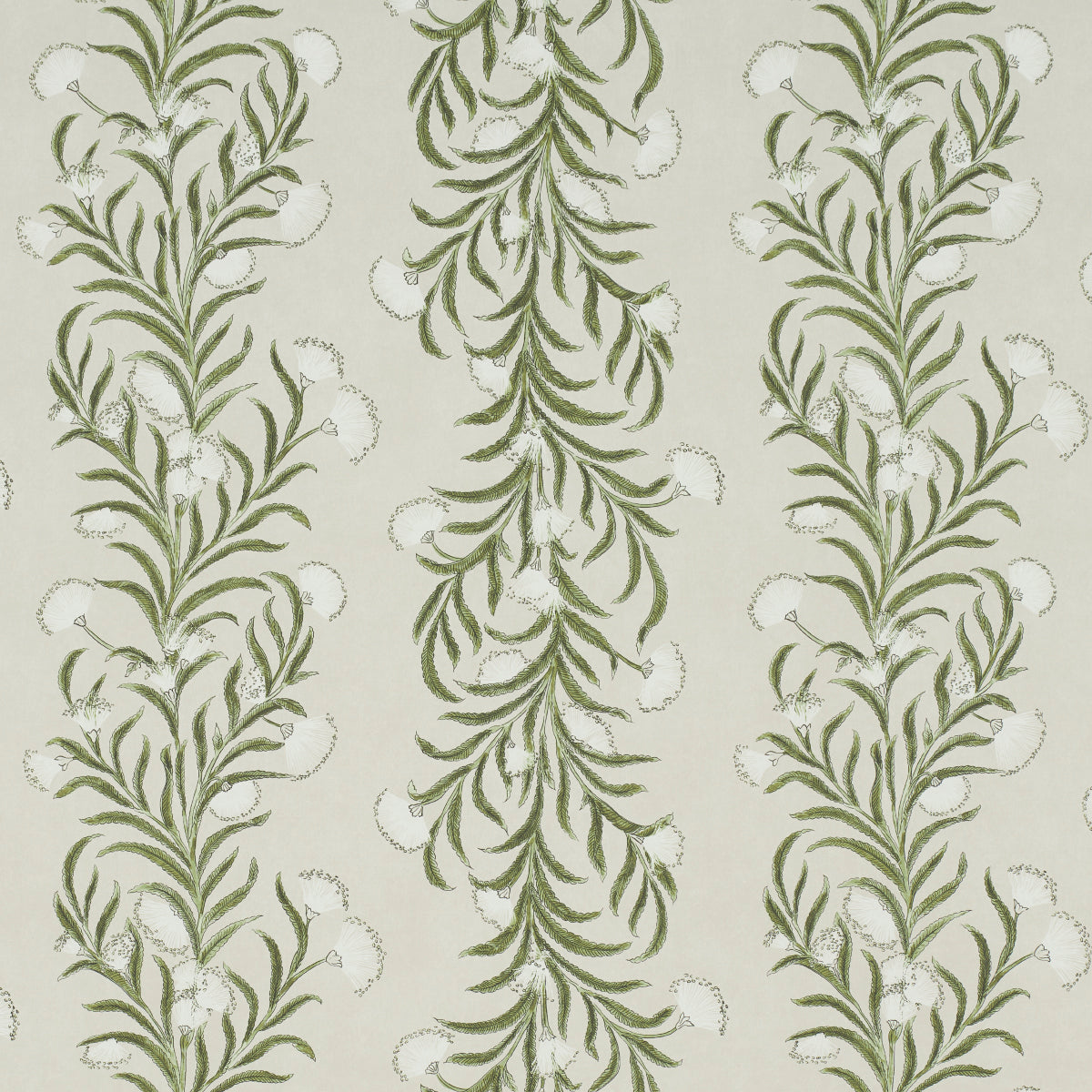 Schumacher 5015362 TASMANIAN MIMOSA in IVORY & GREEN Wallpap
