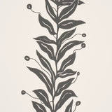 Eade’s BLACK & CREAM