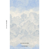 Schumacher Painted Sky Clear Blue Wallpaper - Eade's Wallpaper