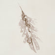 Schumacher 5016060 WOODLAND FEATHERS in PEBBLE Wallpaper - A