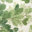 Schumacher 5016072 COVEY HEDGE in SAGE Wallpaper - A COUNTRY