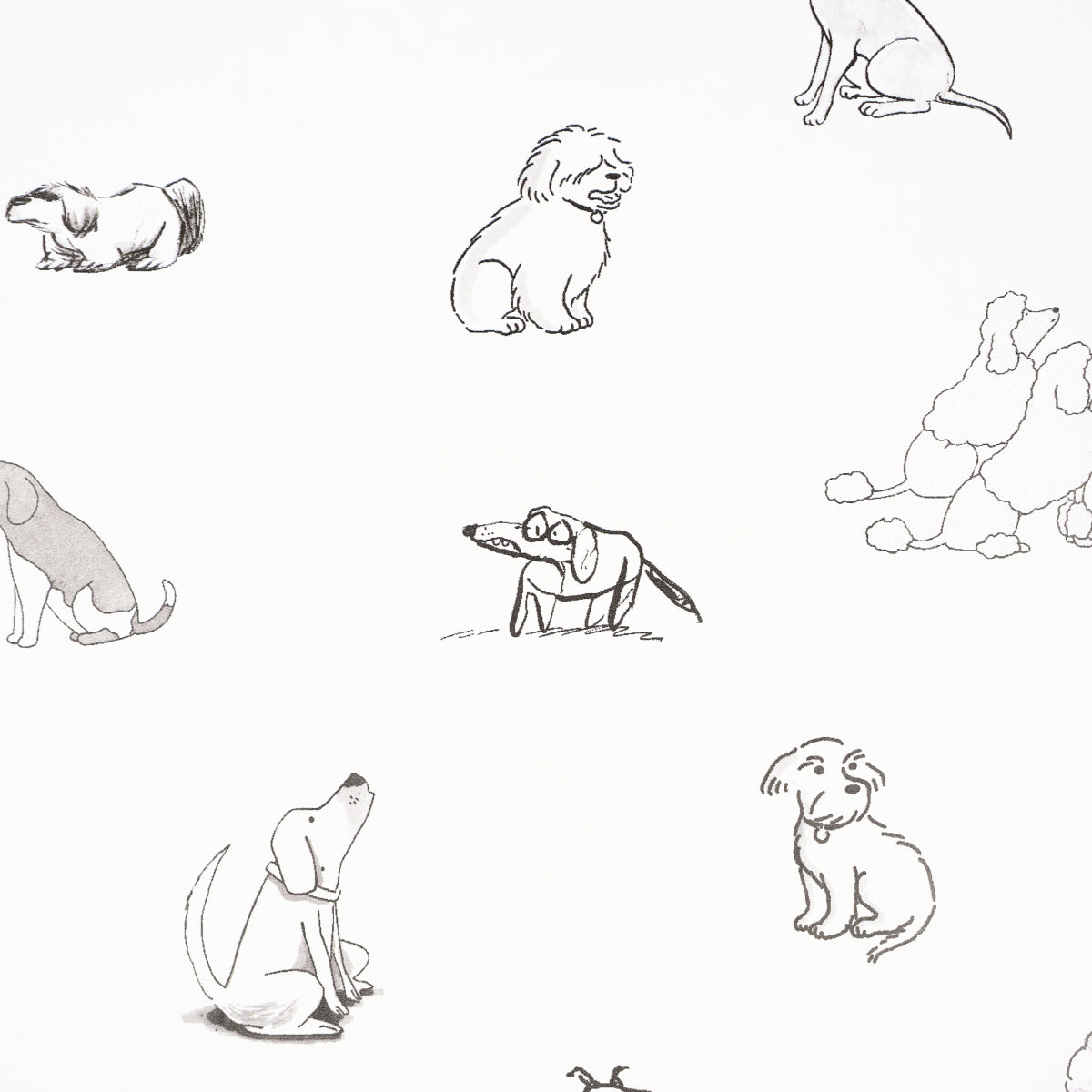 Schumacher 5016300 GOOD DOGS EVERYWHERE in BLACK & WHITE Wal