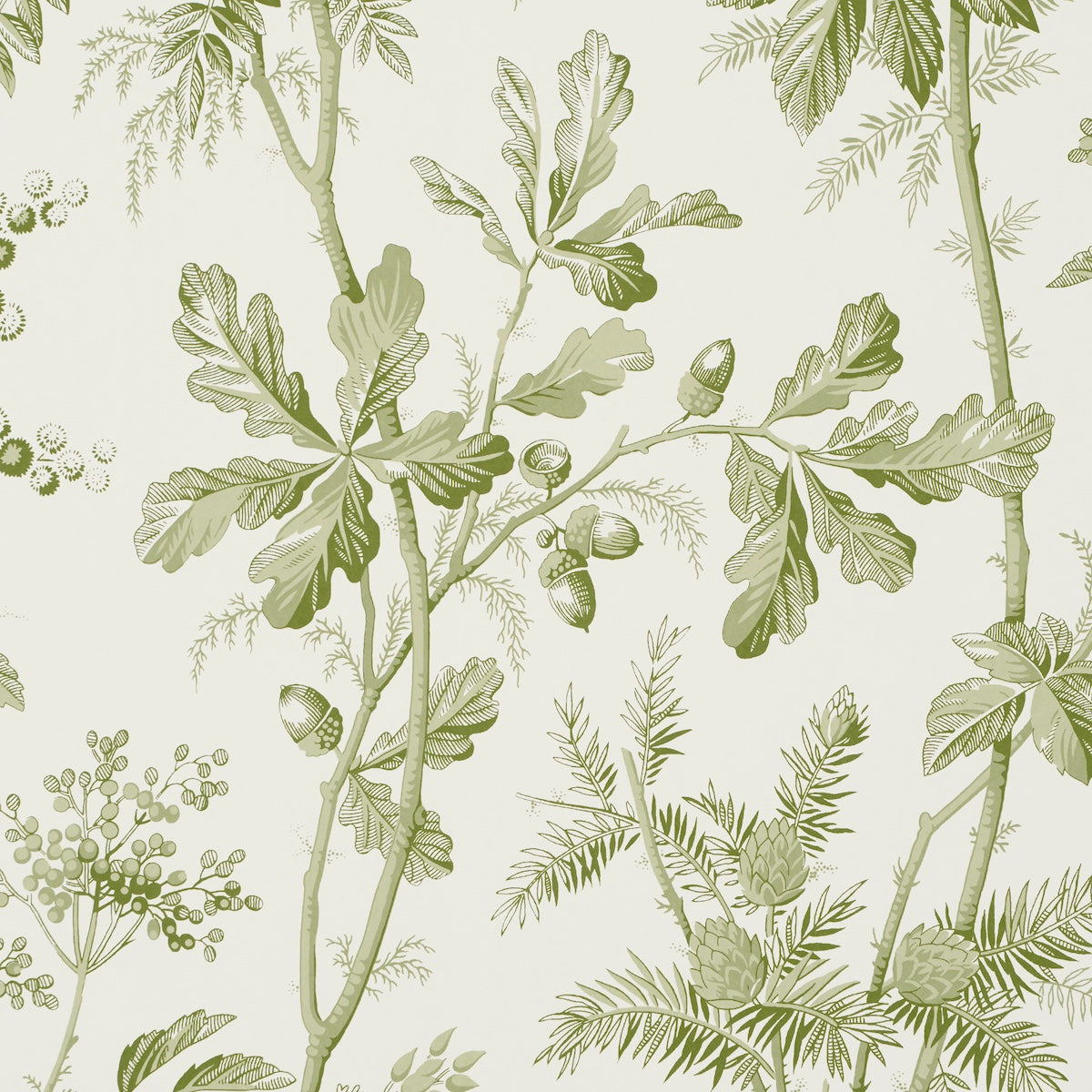 Schumacher 5016350 BRANTWOOD VINE in LEAF Wallpaper - A COUN