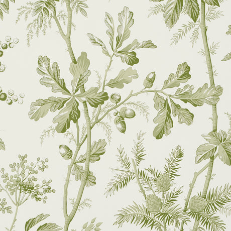 Schumacher 5016350 BRANTWOOD VINE in LEAF Wallpaper - A COUN