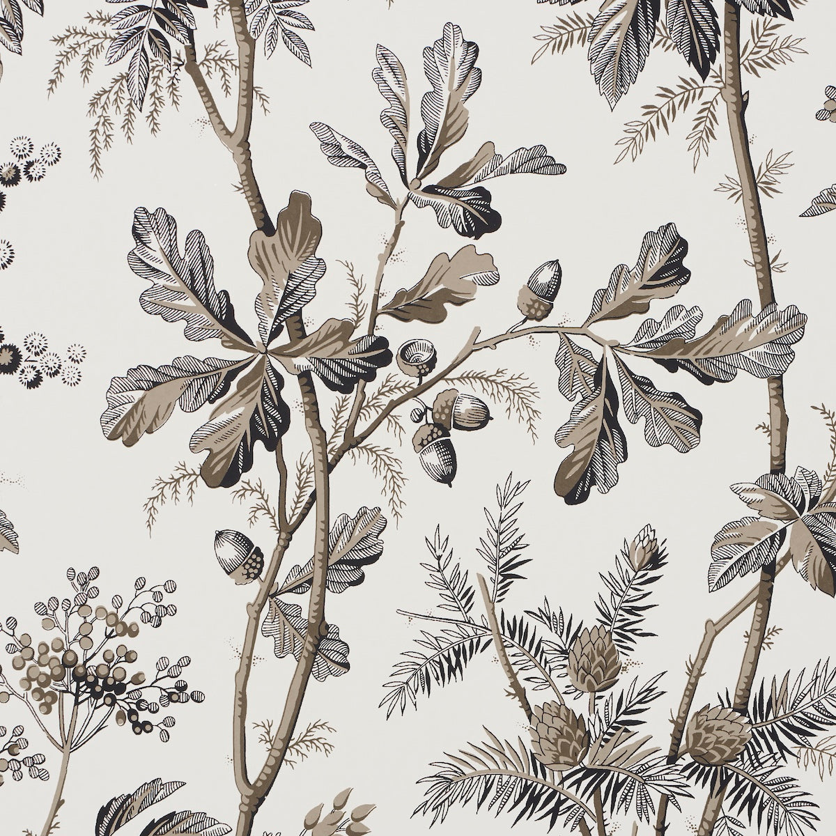 Schumacher 5016352 BRANTWOOD VINE in GRAPHITE Wallpaper - A 