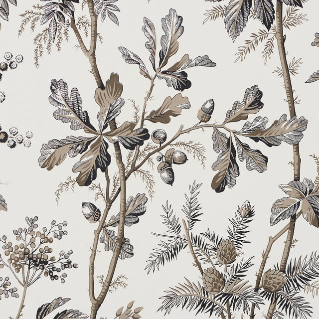 Schumacher 5016352 BRANTWOOD VINE in GRAPHITE Wallpaper - A 
