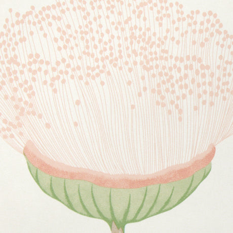 Schumacher 5016360 CELINDA in BLUSH Wallpaper - A LOVE AFFAI