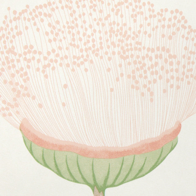 Schumacher 5016360 CELINDA in BLUSH Wallpaper - A LOVE AFFAI
