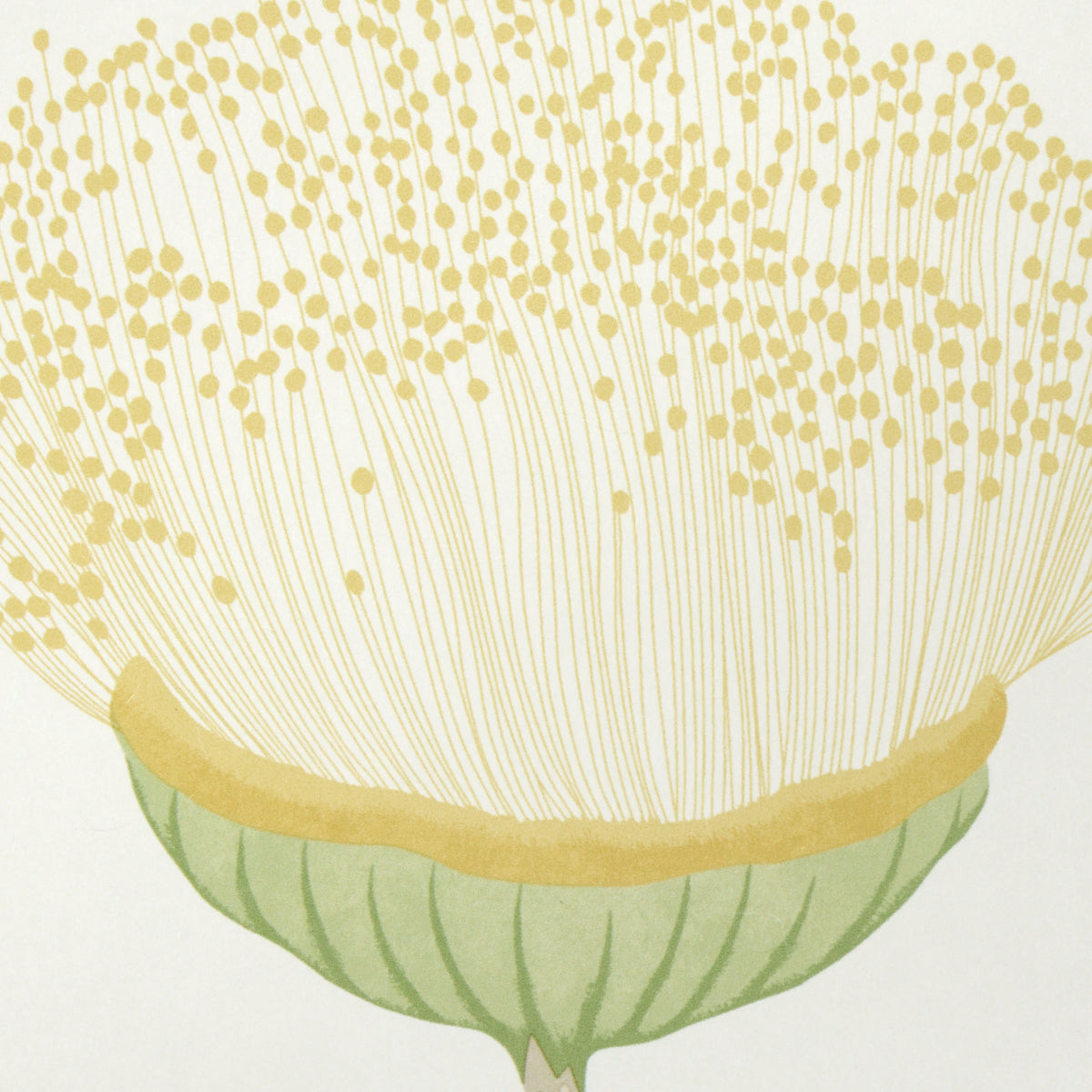 Schumacher 5016362 CELINDA in CITRUS Wallpaper - A LOVE AFFA