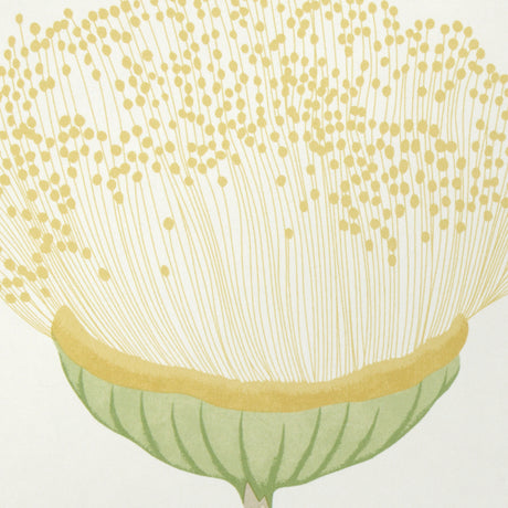 Schumacher 5016362 CELINDA in CITRUS Wallpaper - A LOVE AFFA