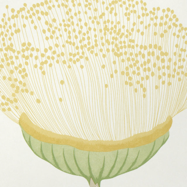 Schumacher 5016362 CELINDA in CITRUS Wallpaper - A LOVE AFFA