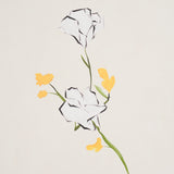 Schumacher Alex'S Floral Daffodil Wallpaper