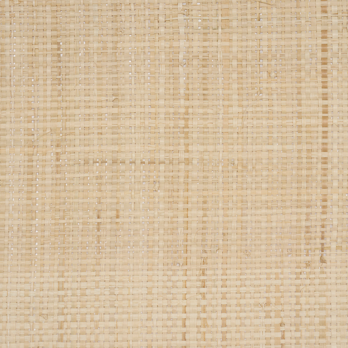 Schumacher Blonde Raffia Wheat Wallpaper