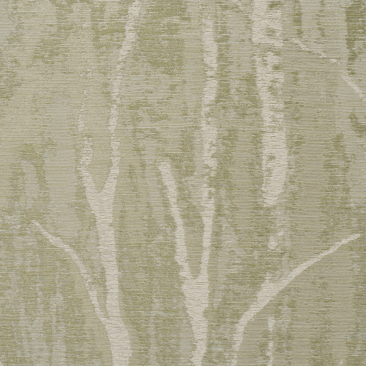 Schumacher 5016591 KOMOREBI in ILLUMINATED FOREST Wallpaper 