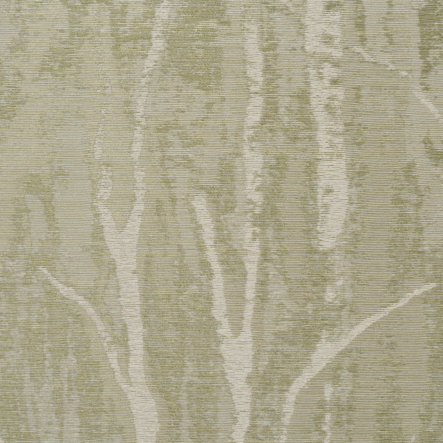 Schumacher 5016591 KOMOREBI in ILLUMINATED FOREST Wallpaper 