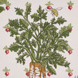 Schumacher 5016780 GREEN GROCER in MULTI Wallpaper - CLOUD N