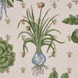 Schumacher 5016781 GREEN GROCER in PARCHMENT Wallpaper - CLO