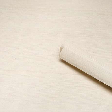 Schumacher 5016870 MUSA ABACA WALLCOVERING in IVORY Wallpape