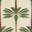 Schumacher 5016961 A PALM IS A PALM SISAL in DAYLIGHT EVERGR