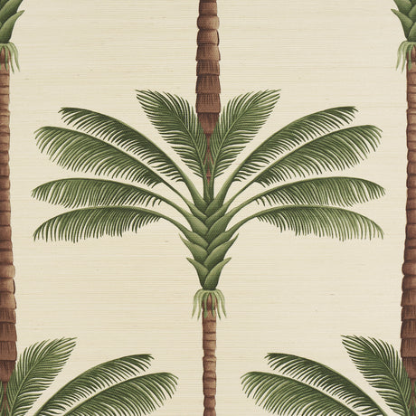 Schumacher 5016961 A PALM IS A PALM SISAL in DAYLIGHT EVERGR