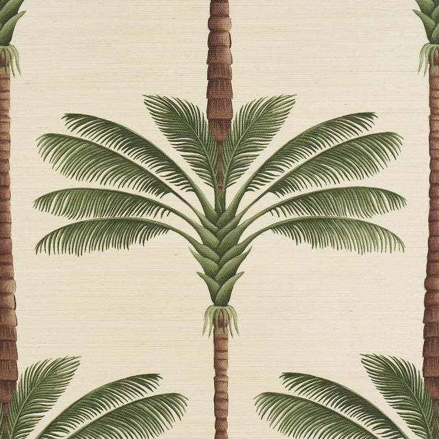 Schumacher 5016961 A PALM IS A PALM SISAL in DAYLIGHT EVERGR
