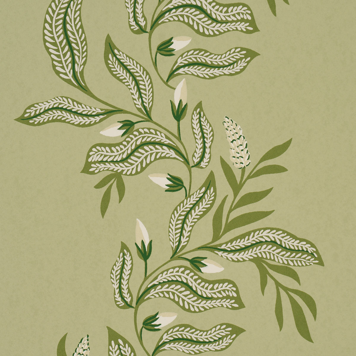 Schumacher 5016970 VAGARY VINES in HONEYDEW Wallpaper - LAUR
