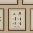 Schumacher 5017001 JAMIE'S TROPHIES SISAL in NATURAL Wallpap