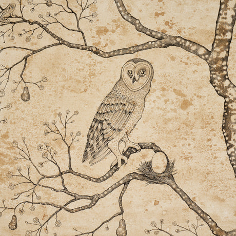 Schumacher 5017090 Lâ€™ATTESA NELLA NOTTE in PARCHMENT Wallp