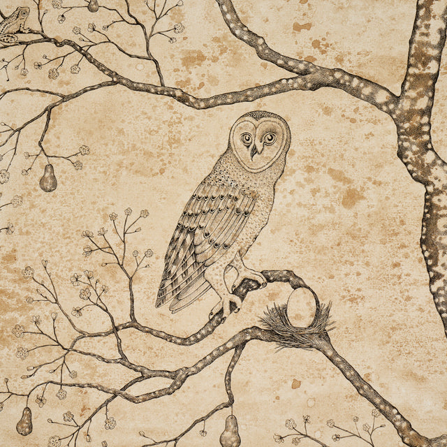 Schumacher 5017090 Lâ€™ATTESA NELLA NOTTE in PARCHMENT Wallp