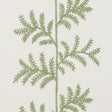 Schumacher 5017100 ELOISE EMBROIDERY WALLCOVERING in SAGE Wa