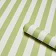 Schumacher 5017215 EMMA STRIPE in LEAF Wallpaper - PERENNIAL