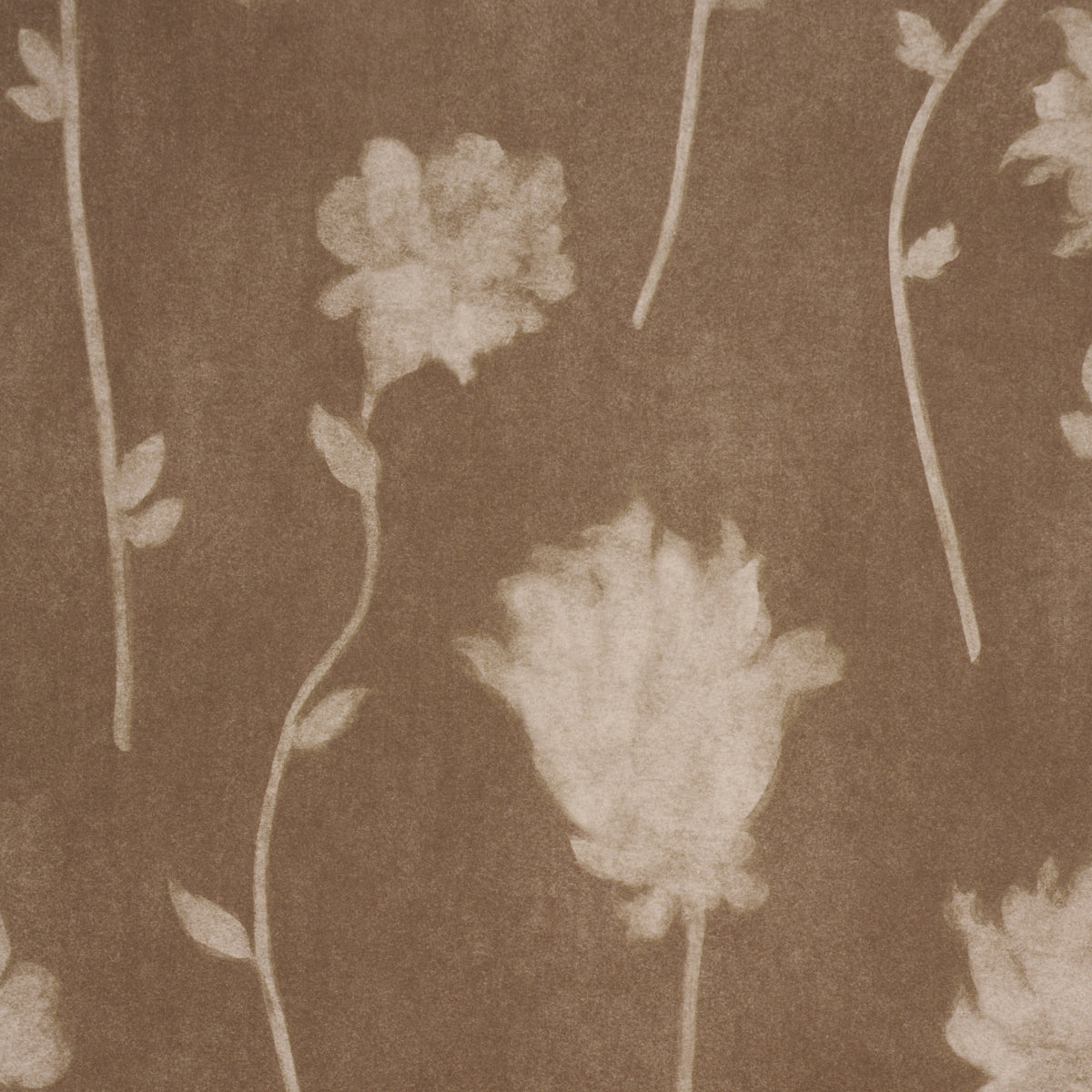 Schumacher 5017361 BEFORE MIDNIGHT in CHOCOLATE Wallpaper - 