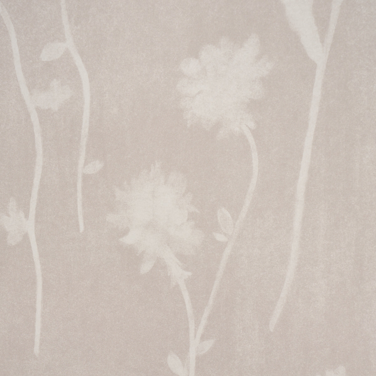 Schumacher 5017362 BEFORE MIDNIGHT in LIGHT BEIGE Wallpaper 