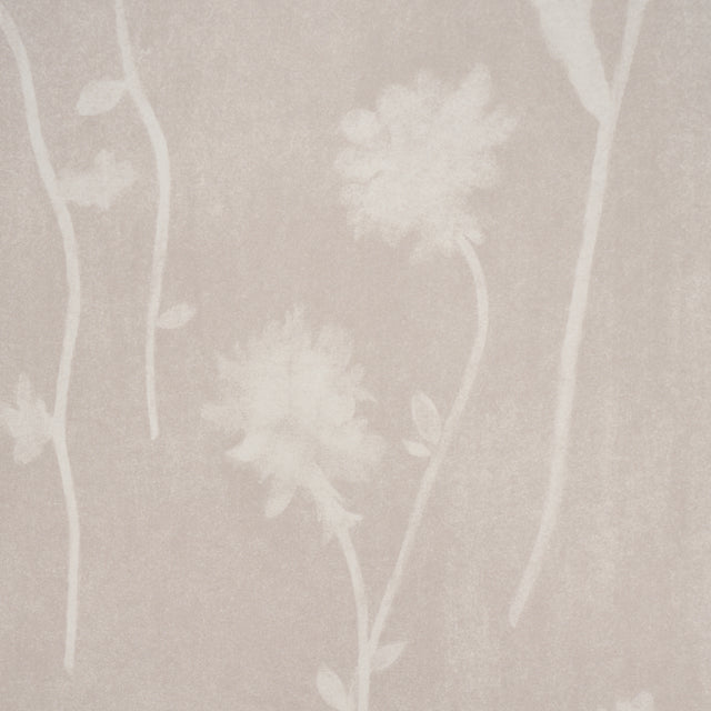Schumacher 5017362 BEFORE MIDNIGHT in LIGHT BEIGE Wallpaper 