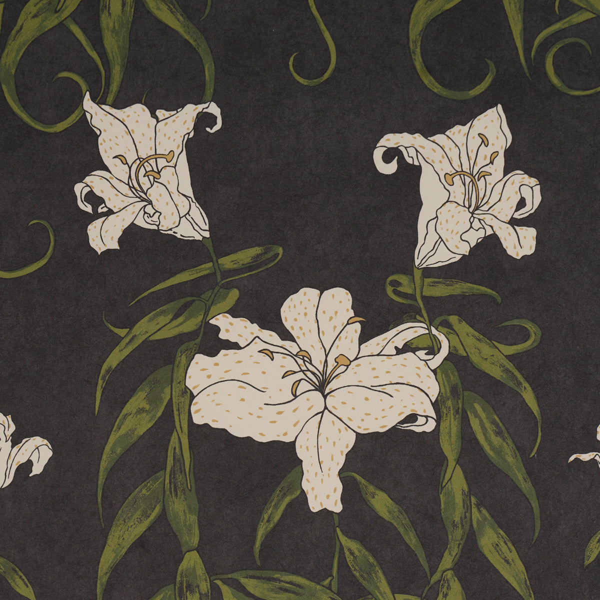 Schumacher 5017382 LADY LILITH in CARBON Wallpaper - BACKDRO