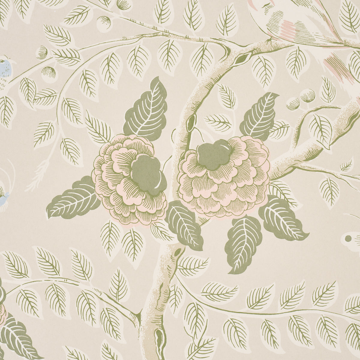 Schumacher 5017541 TOLE BIRD in PETAL Wallpaper - SCHUMACHER