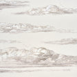 Schumacher 5017582 MR. DARCY'S CLOUDS in GRISAILLE Wallpaper