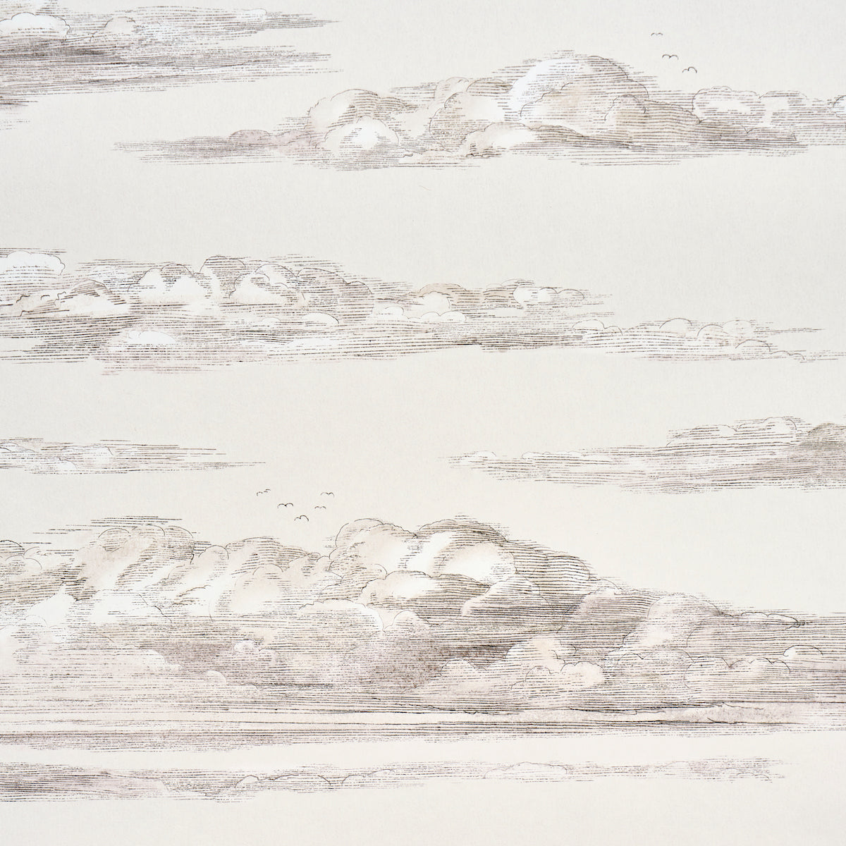 Schumacher 5017582 MR. DARCY'S CLOUDS in GRISAILLE Wallpaper