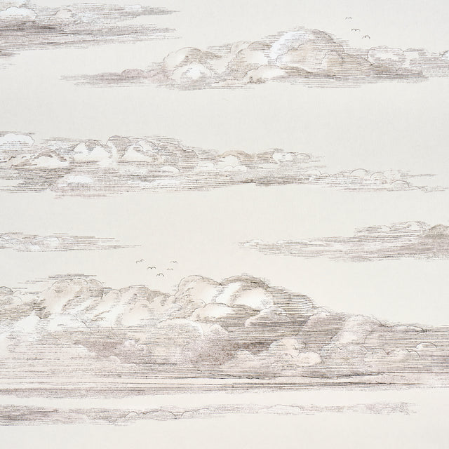 Schumacher 5017582 MR. DARCY'S CLOUDS in GRISAILLE Wallpaper
