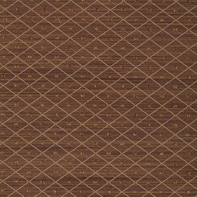 Schumacher 50405 LASALLE in MOCHA Fabric - Collection Name T