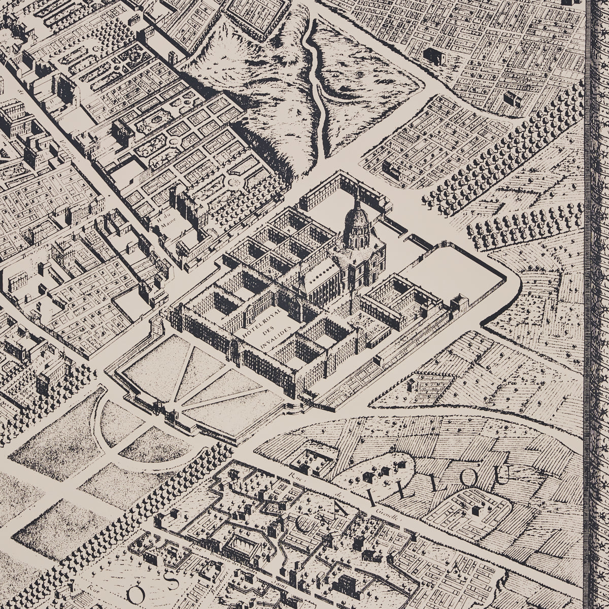 Eade’s EBONY ON CREAM