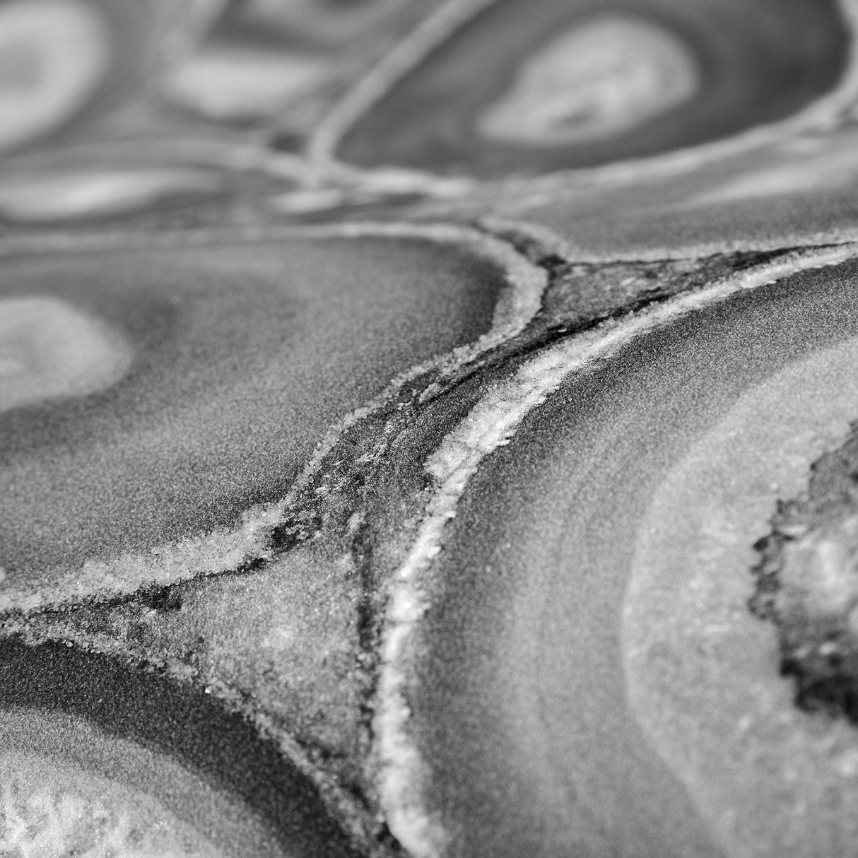 Eade's GH51221-23-sample Silver Grey