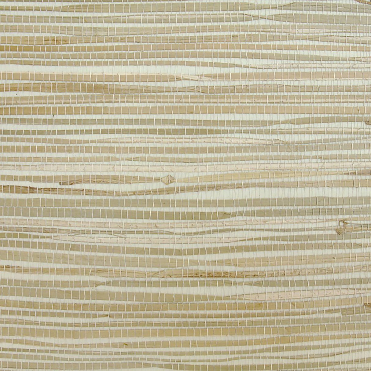  31-W6331 5128 Wallcovering - Eade's Wallpaper & Fabric