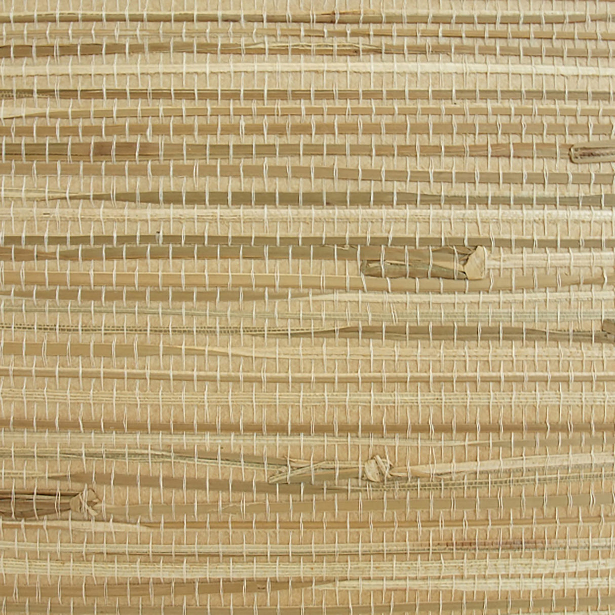  32-W6331 5128 Wallcovering - Eade's Wallpaper & Fabric